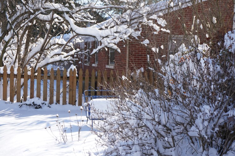 backyard snow